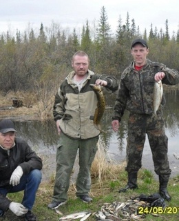Николай — фото 4